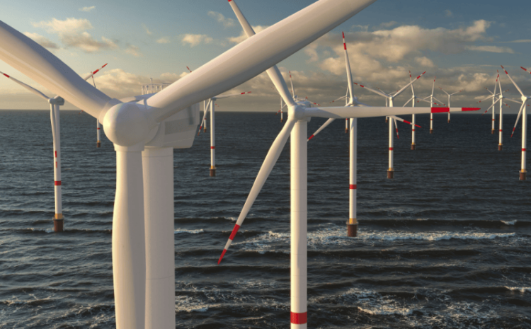 OFFSHORE WIND TURKIYE 2025